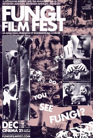 2026 Fungi Film Fest